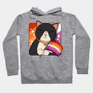 Cute Tuxedo Cat Holding Lesbian Pride Flag Hoodie